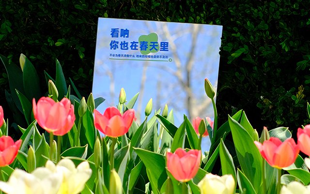 w88体育app下载入口账号登录