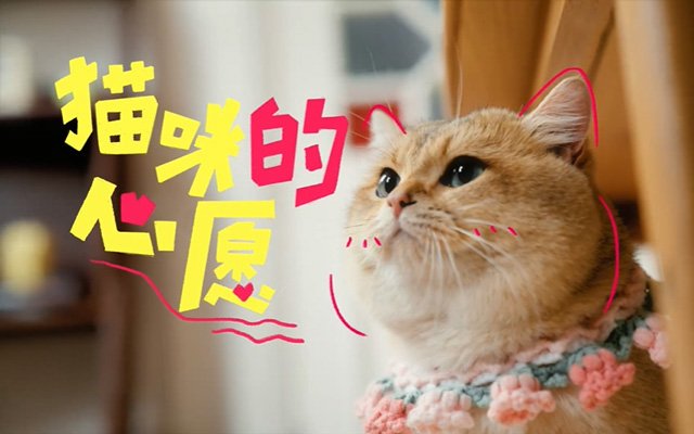 由于TikTok在美国的禁令
